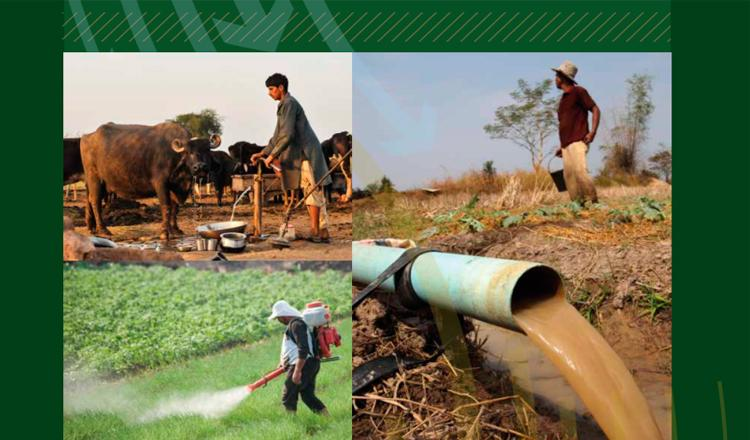 Saj4Abi's tweet photo. 7. Ecuador gasta $200 millones anuales en problemas de salud por agroquímicos.
🔸 La contaminación agrícola afecta a comunidades rurales, obligándolas a migrar.
🔸 El exceso de fertilizantes contribuye al cambio climático y la desertificación. https://t.co/DtgteX4m3l