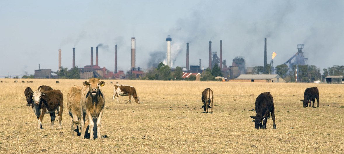 Saj4Abi's tweet photo. 9. en Conclusion la contaminación agrícola es un desafío urgente. Con políticas adecuadas y un cambio en la forma de producir alimentos, podemos proteger la tierra y garantizar la seguridad alimentaria en el futuro. https://t.co/PHCr1ywSjF