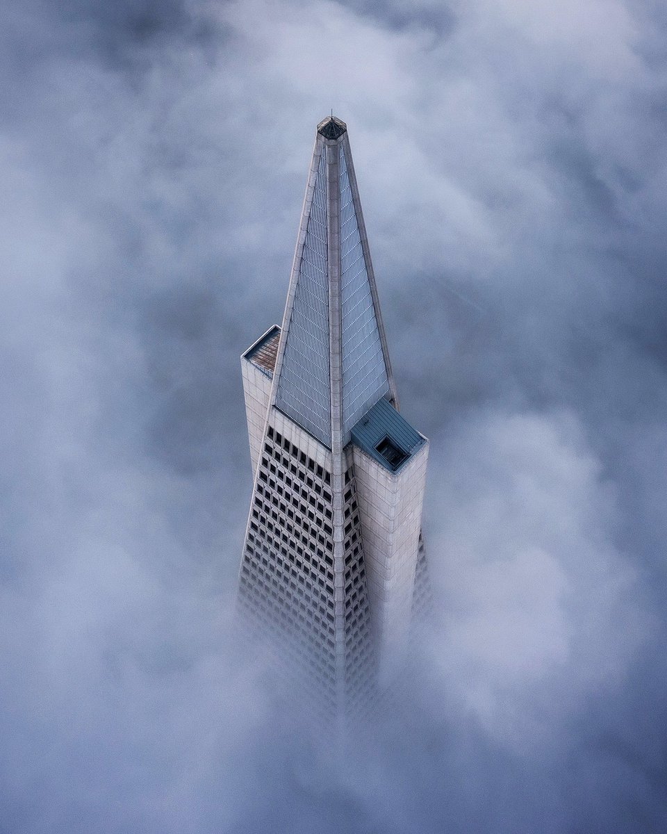 James Piper tweet media