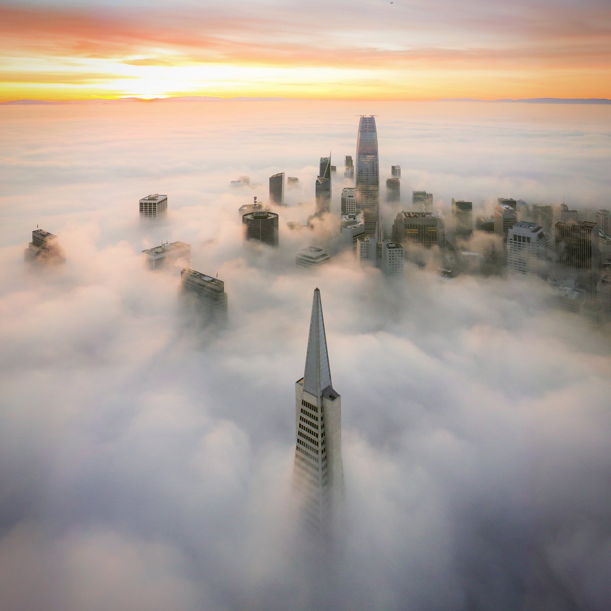 James Piper tweet media