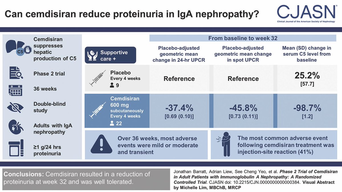 Anaghashreyas's tweet image. 🫘🩺There is a constant search to target the pathological mechanisms in IgAN 

Will Cemdisiran turn out to be the rescue drug we have been waiting for ? 

Cemdisiran works by reducing the hepatic C5 production and hence reduces the formation of MAC which drives kidney injury 🏥…