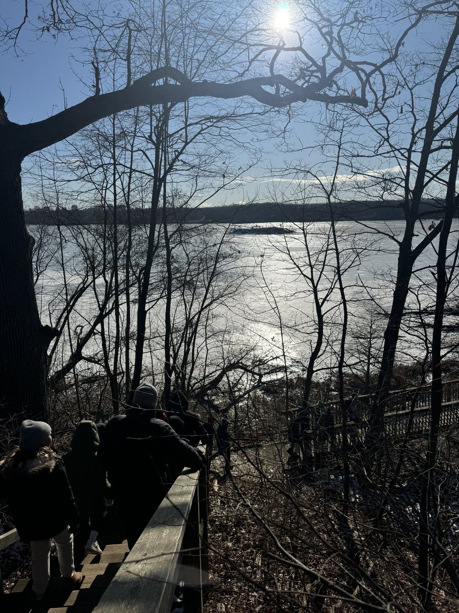 machado_ms's tweet image. Some snaps of our day at @RBGCanada 📸❄️! Thank you for the beautiful hike and fun survival game as we reviewed our understanding of biodiversity 🌿🐢🐻