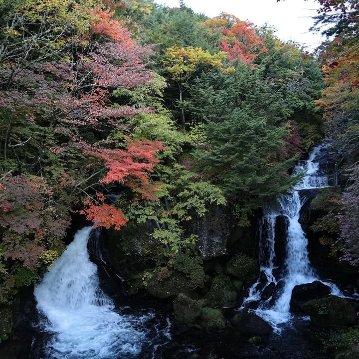 GeaMareo's tweet photo. の奥日光🍂
自然相手の旅行計画は難しいですね🍁
place竜頭の滝下　滝上　湯滝

#ポルシェ #ポルシェ911 https://t.co/z3jZHAidEZ