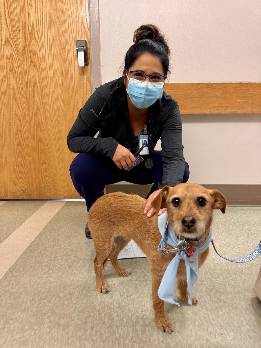 Nothing beats a pup to cheer up your day at the hospital.  Meet Ms Hedy- #tarheelborn 😊