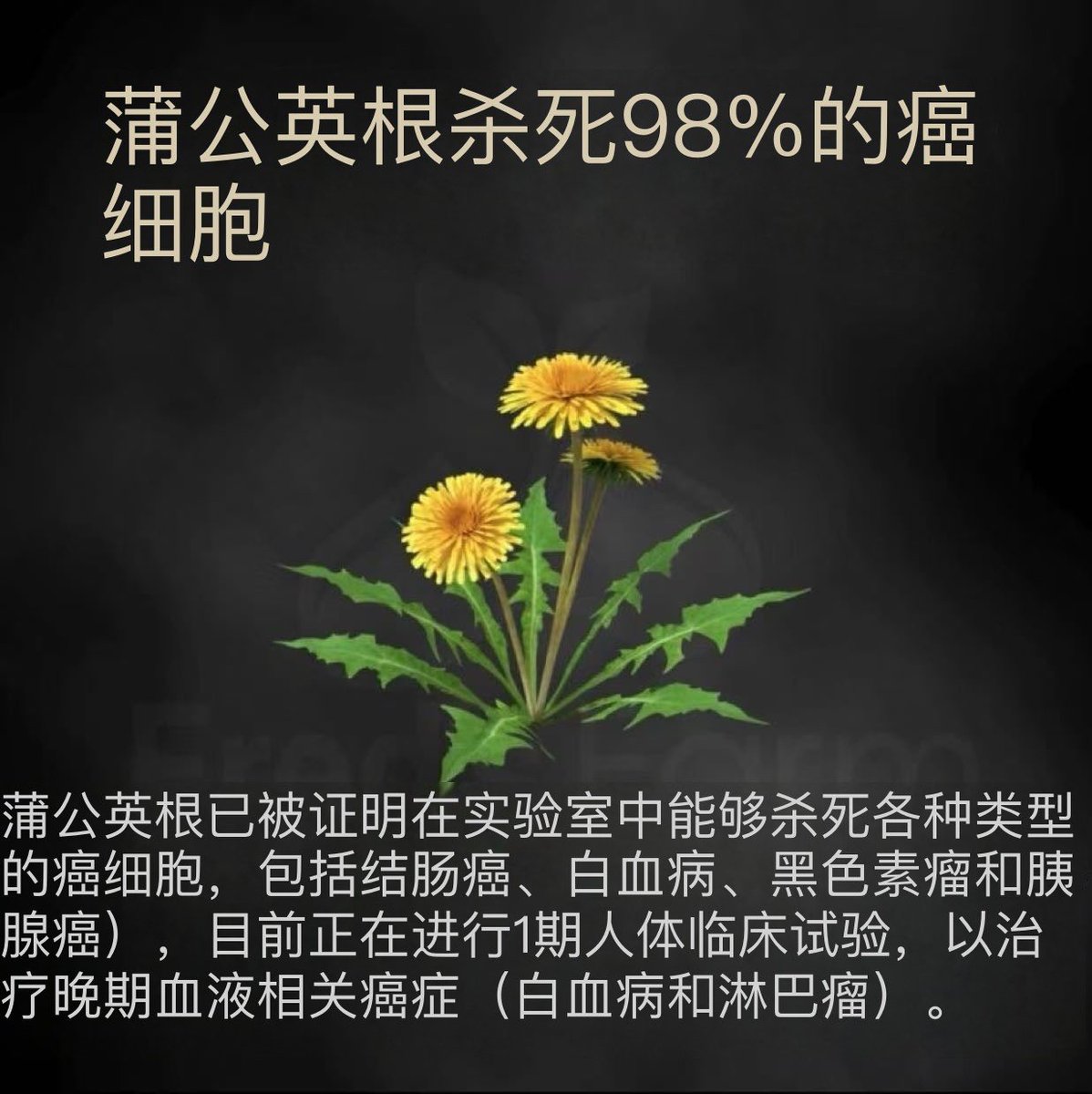 宇峒 tweet media