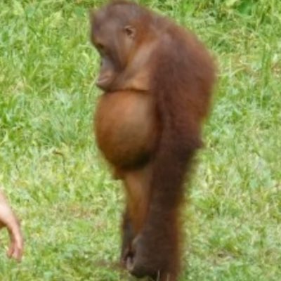 monje300's tweet photo. #NewProfilePic https://t.co/7AfWaszq9C