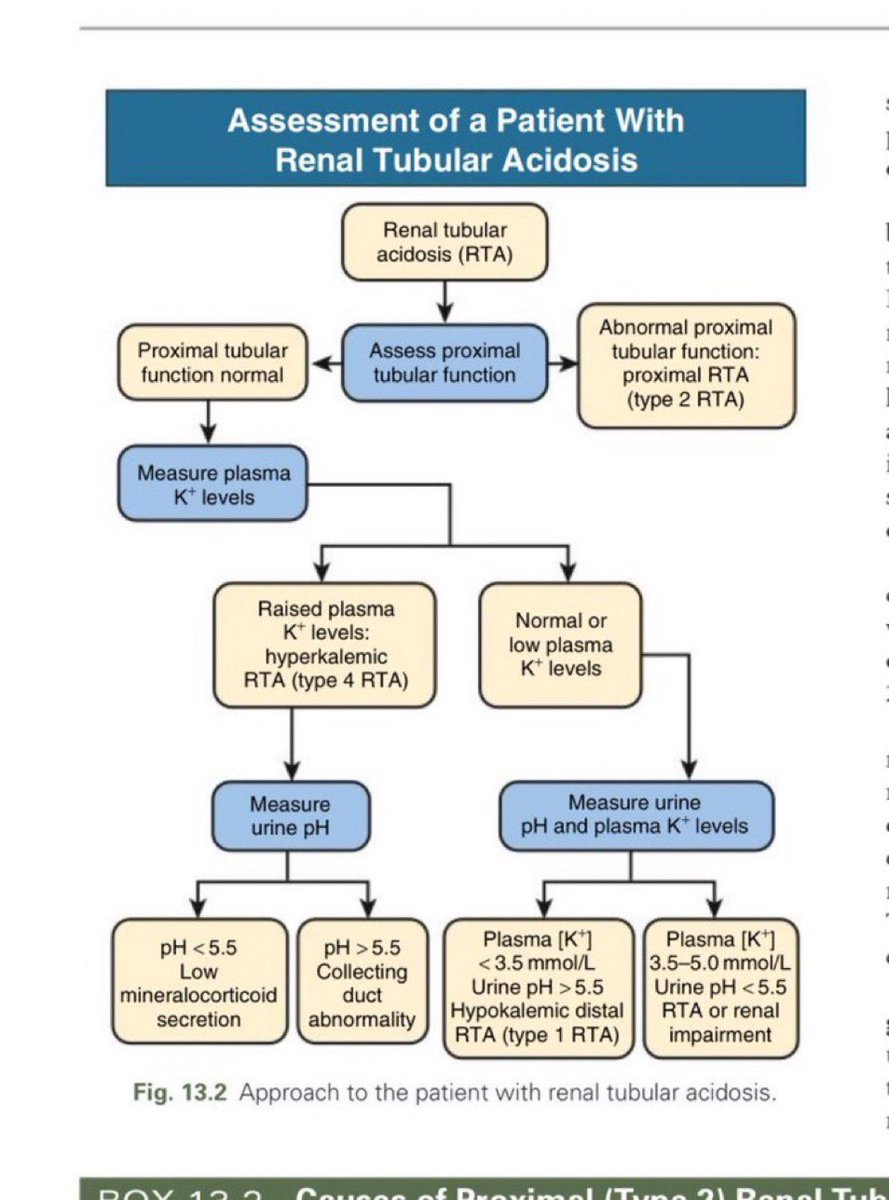 💡Approach to Renal Tubular acidosis 

Source Feehalay