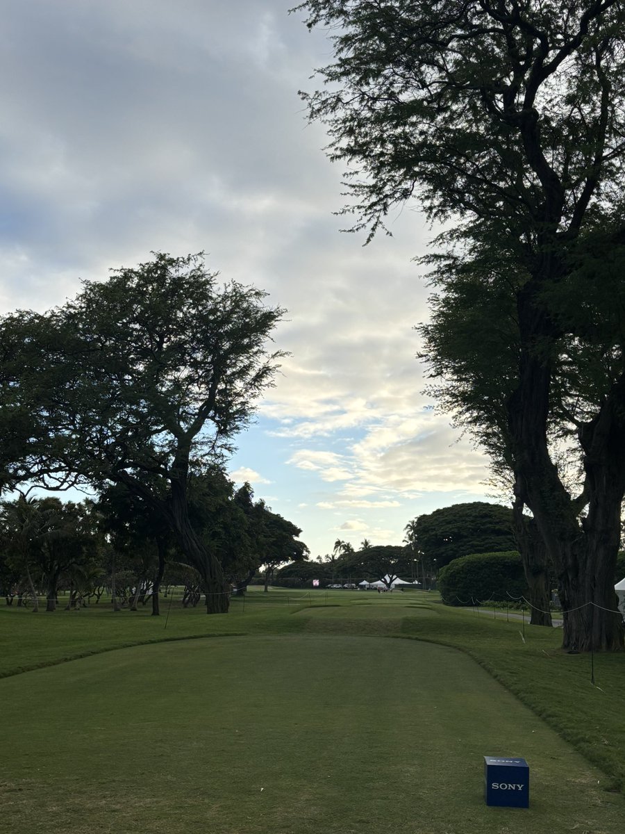 SmylieKaufman10's tweet image. Tag a friend that would hit the left tree. I’ll start… @SmylieKaufman10