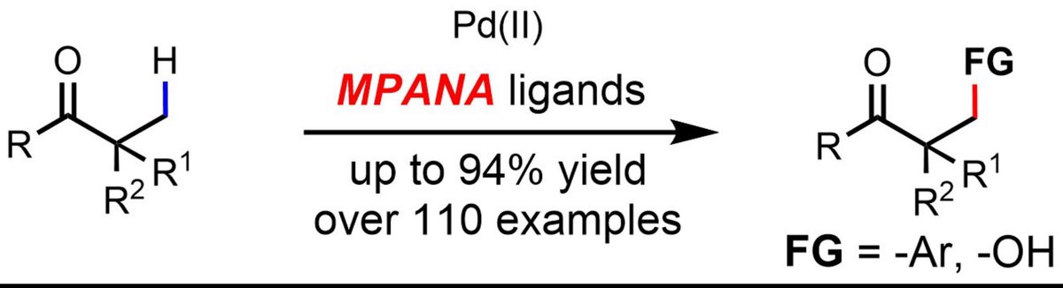 A magic spoon of table salts for aliphatic acids in 2007 guided us along the path of CH activation based on weak coordination, leading to discoveries of 10 distinct classes of bifunctional ligands so far, but ketones are too slippery until now: Nature: 10.1038/s41586-024-08281-4