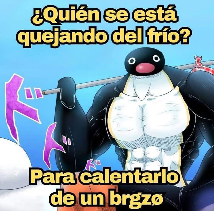 🇲🇽 México Mágico ✨ tweet media