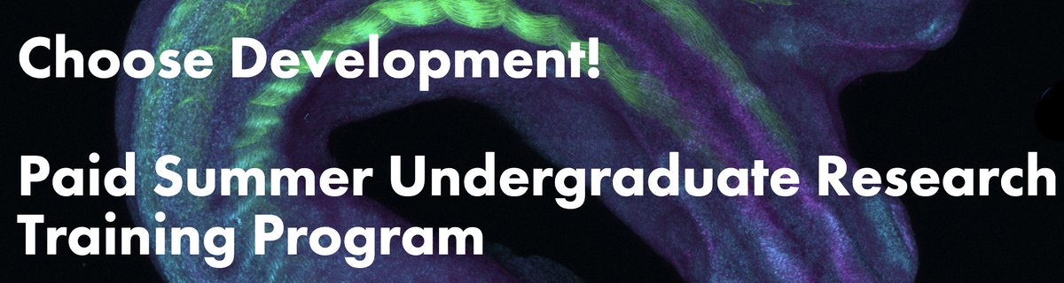 Richard Behringer (@rrbehringer) on Twitter photo Feb 1 is application deadline for <a href="/SocDevBio/">Society for Developmental Biology</a> Choose Development summer undergrad research training program. Research training in SDB member labs for undergrads from historically excluded groups to pursue graduate degrees. Supported by <a href="/NICHD_NIH/">NICHD News</a>
sdbonline.org/choose_developโฆ Feb 1 is application deadline for <a href="/SocDevBio/">Society for Developmental Biology</a> Choose Development summer undergrad research training program. Research training in SDB member labs for undergrads from historically excluded groups to pursue graduate degrees. Supported by <a href="/NICHD_NIH/">NICHD News</a>
sdbonline.org/choose_developโฆ