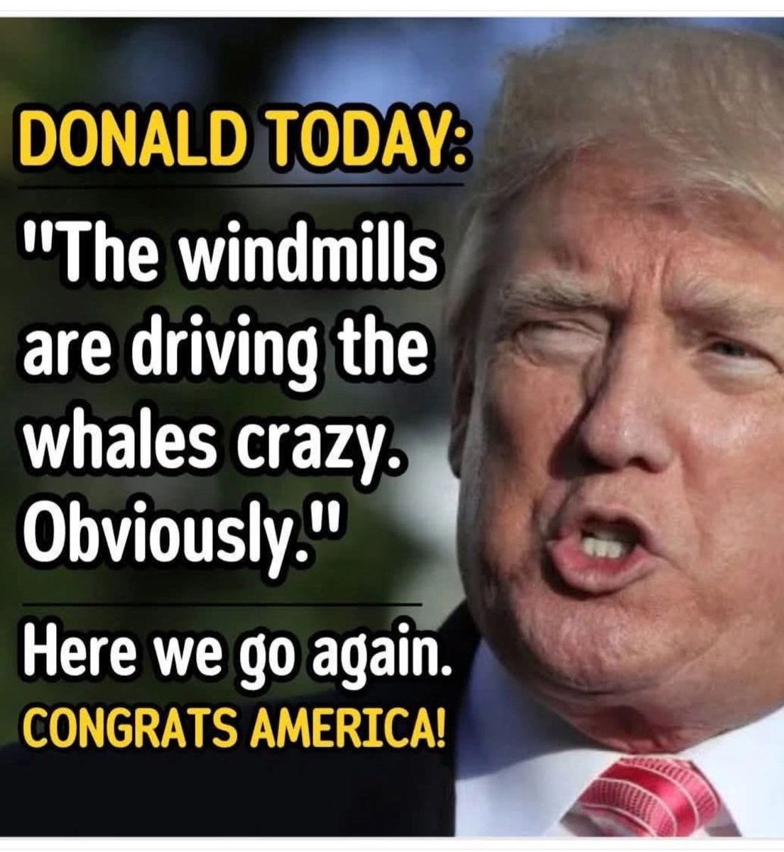 BuskirkUsmc's tweet image. Not only prosecute - sentence him like anyone else. 
Insanity plea? Prison Hospital psych ward him like anyone else.