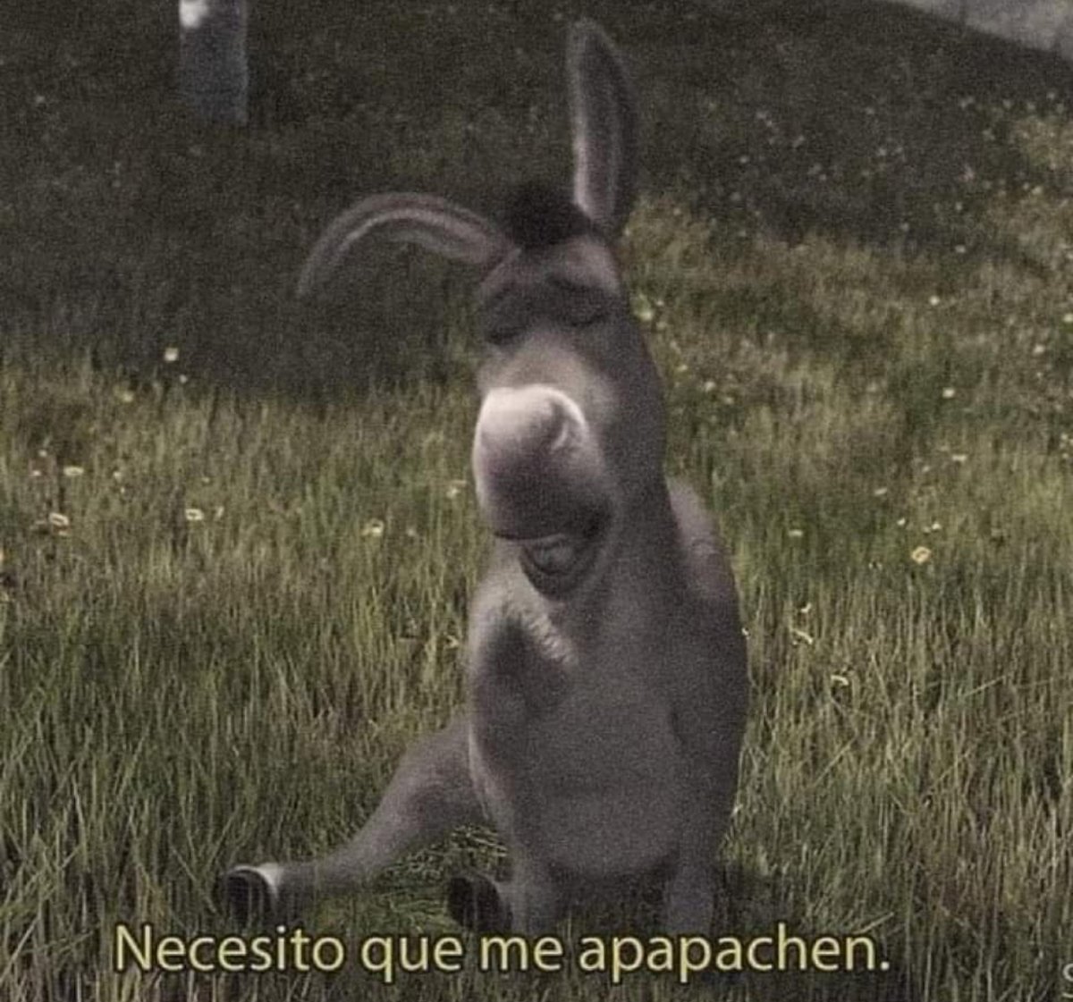 No les voy a mentir.