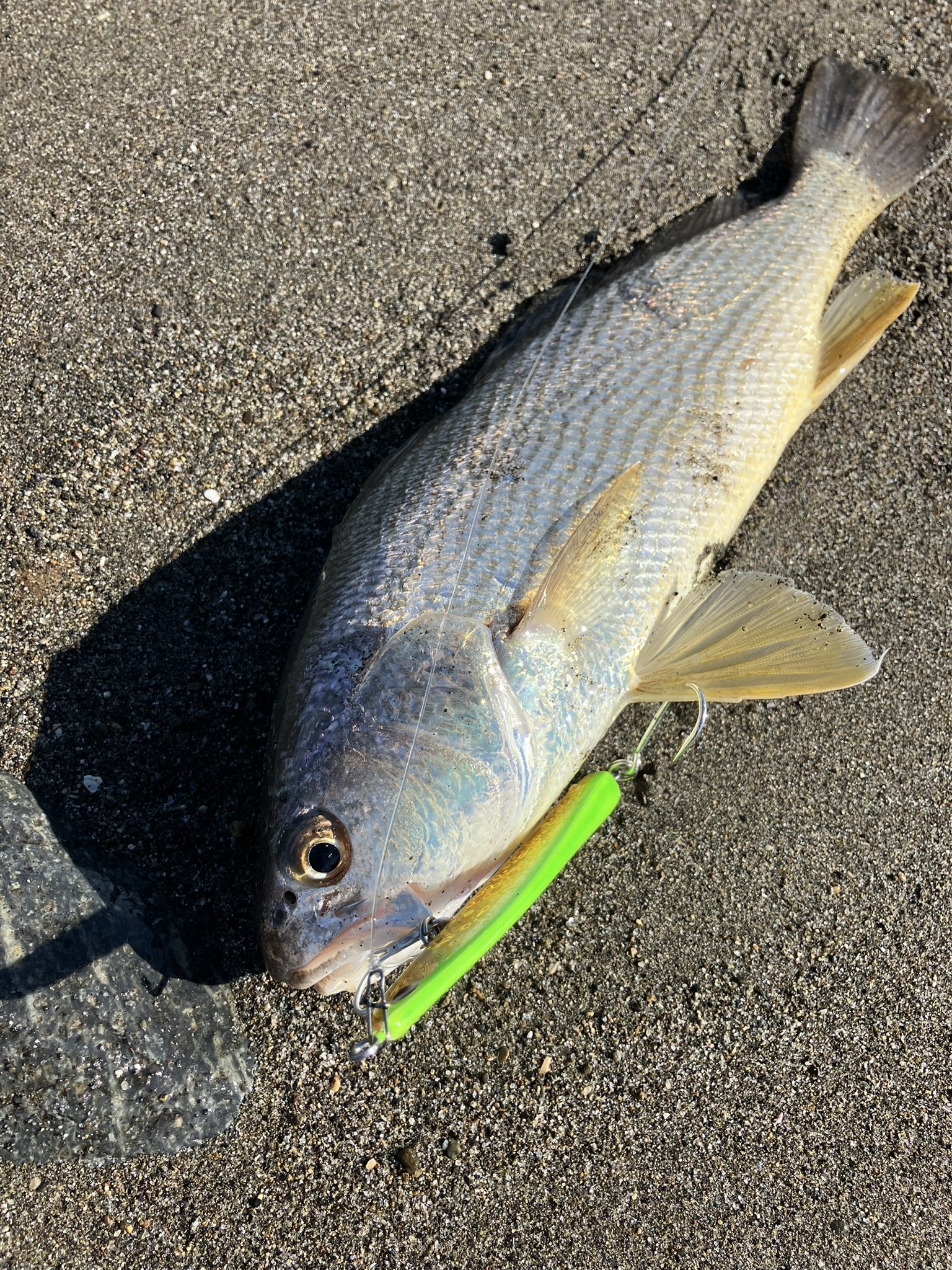 ルアーズケミスト　４本 Lures Chemist