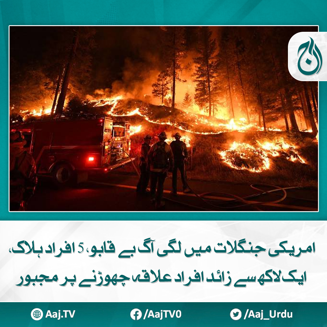 Aaj_Urdu's tweet photo. ہزاروں مکانات اور عمارتیں آگ کی لپیٹ میں
مزید پڑھیے https://t.co/awPSMcVgEm
#AajNews #forestinfire #losangeles #usa https://t.co/itOHdUmZ5f
