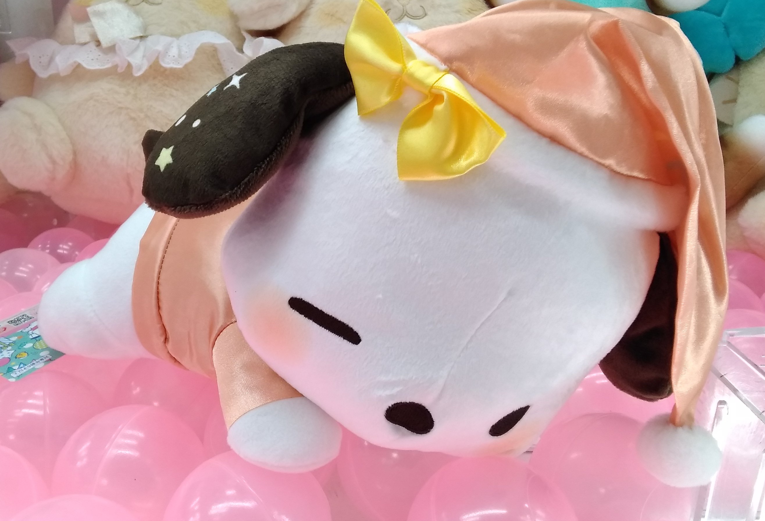 ポチャッコ 追いつける ぽてっと寝そべり BIGぬいぐるみ