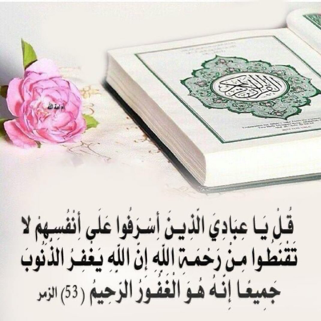 جنه الورد🍁 tweet media