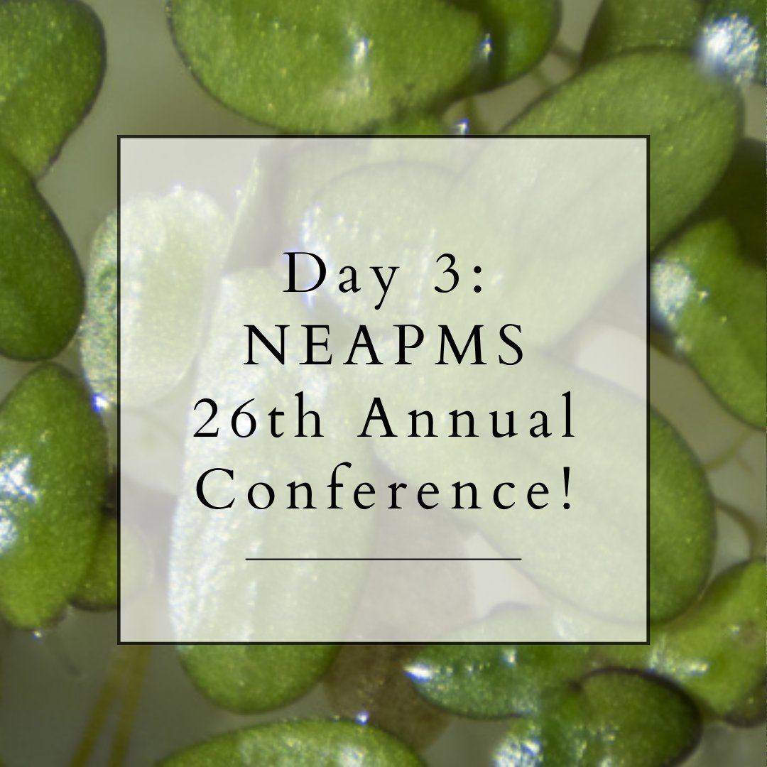 The final day of the NEAPMS conference is packed with informative sessions that showcase cutting-edge research, industry updates, and regional case studies.