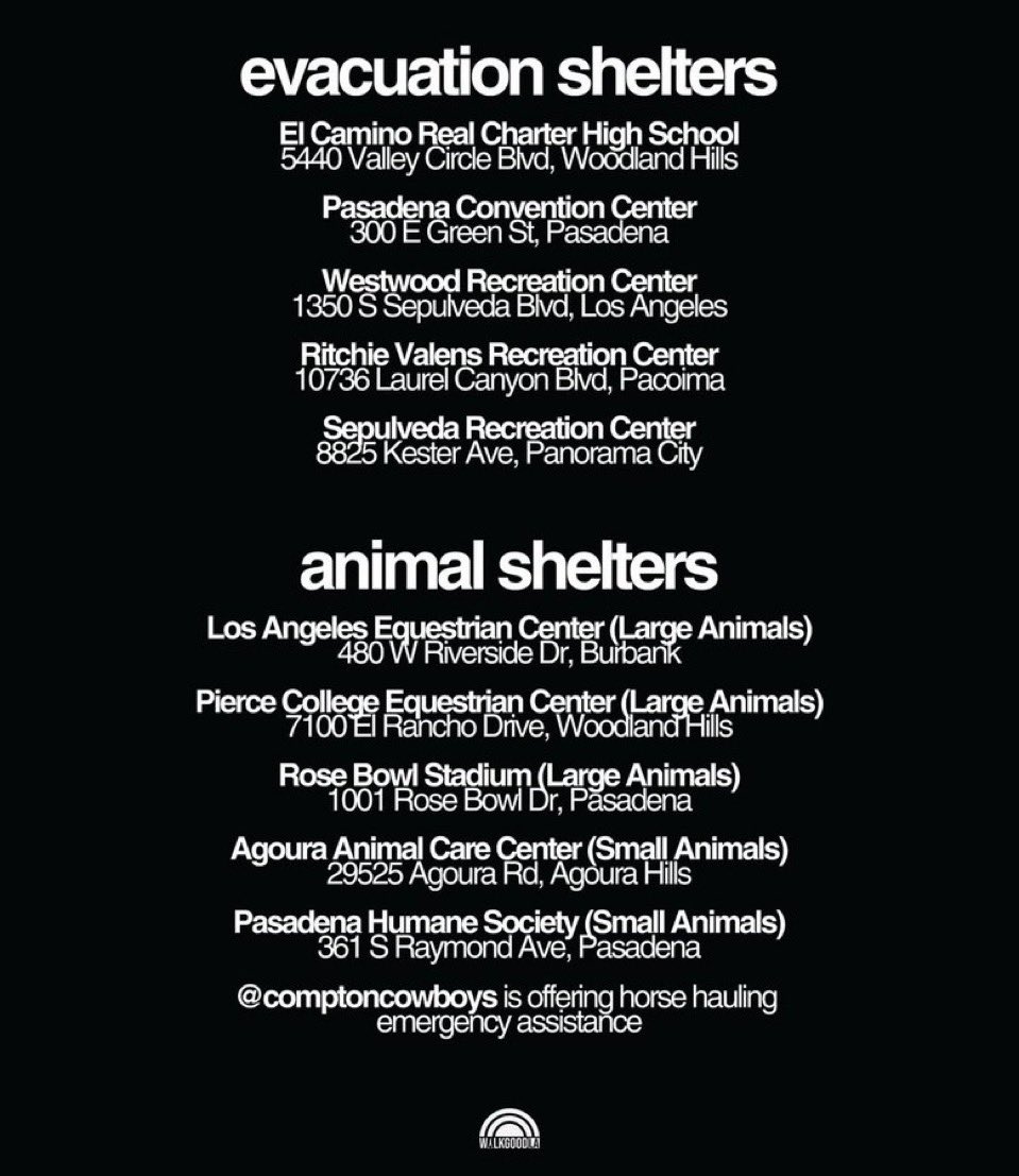 please please if you evacuate do not leave your pets behind. there are so many shelters taking them in if you aren’t able to take them wherever you are going. these are just some shelters but there are a lot more. PLEASE i urge you to take your pets somewhere safe!