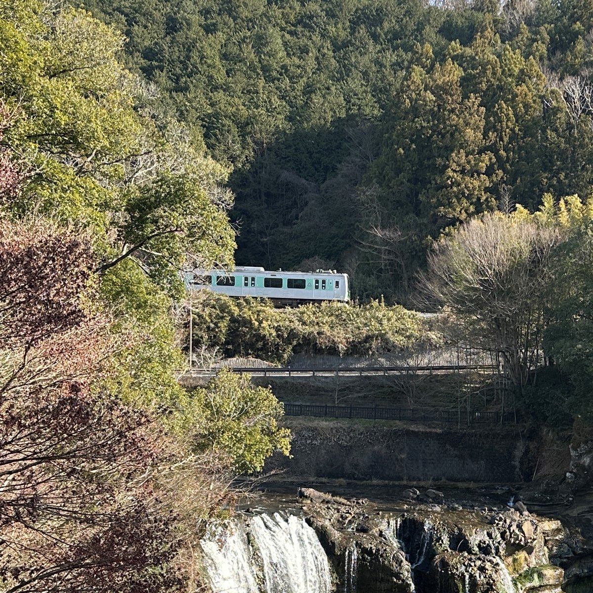 烏山線で『サイクルトレイン』実施！
烏山線列車内に自転車をそのまま持ち込み、沿線の自然を電車や自転車で楽しめるサイクルトレインを実施します！
台数に限りがありますので、気になる方はお早めにご確認ください。
HP　⇒　event.jreast.co.jp/activity/detai…
＃栃木県　＃烏山線　＃サイクルトレイン