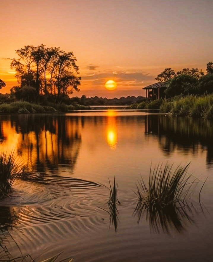 Post a Picture you took. Just Pic. No description

Serenity....