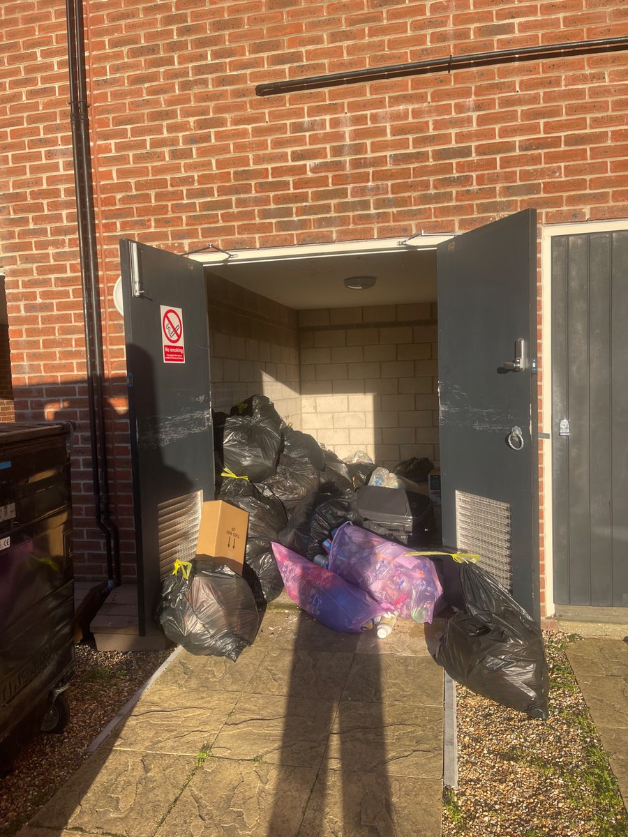 Nicoleta Adele tweet media