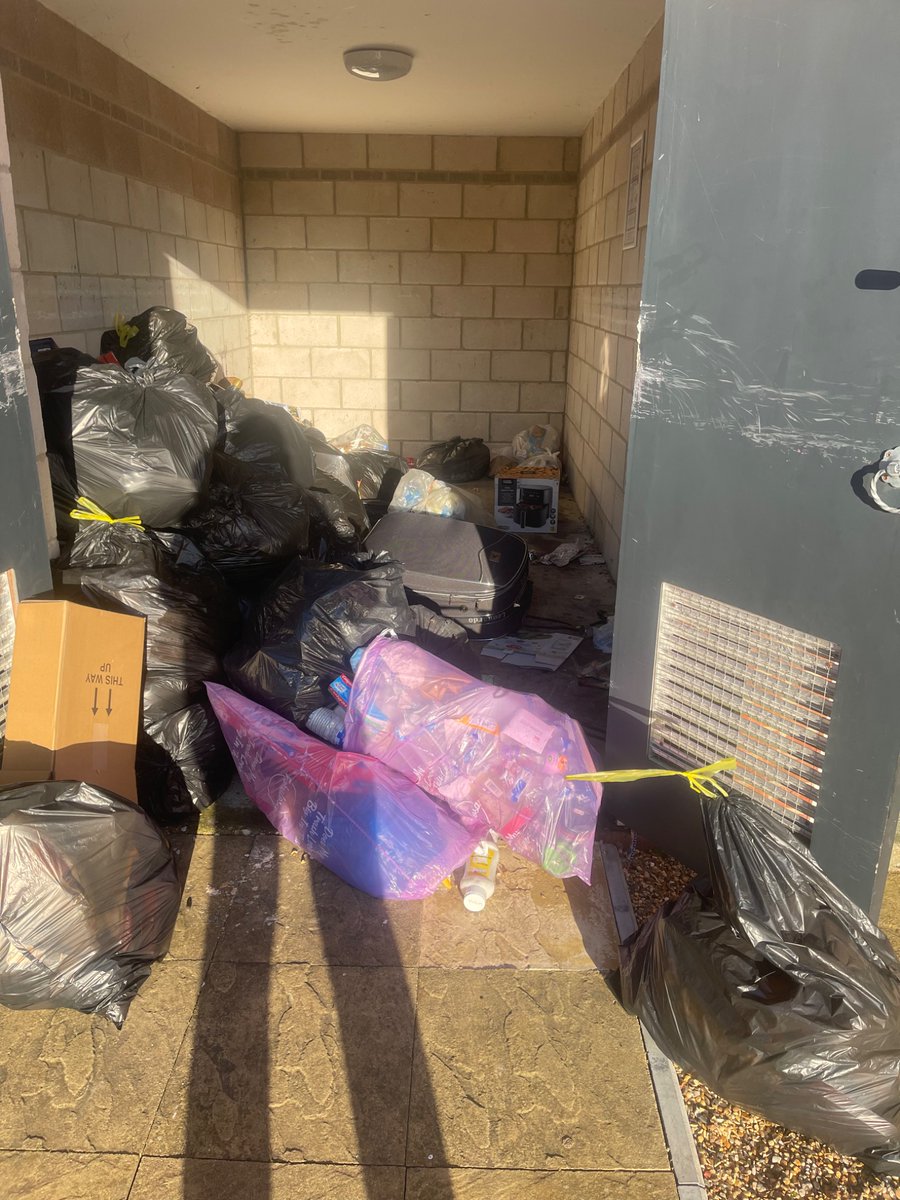 Nicoleta Adele tweet media