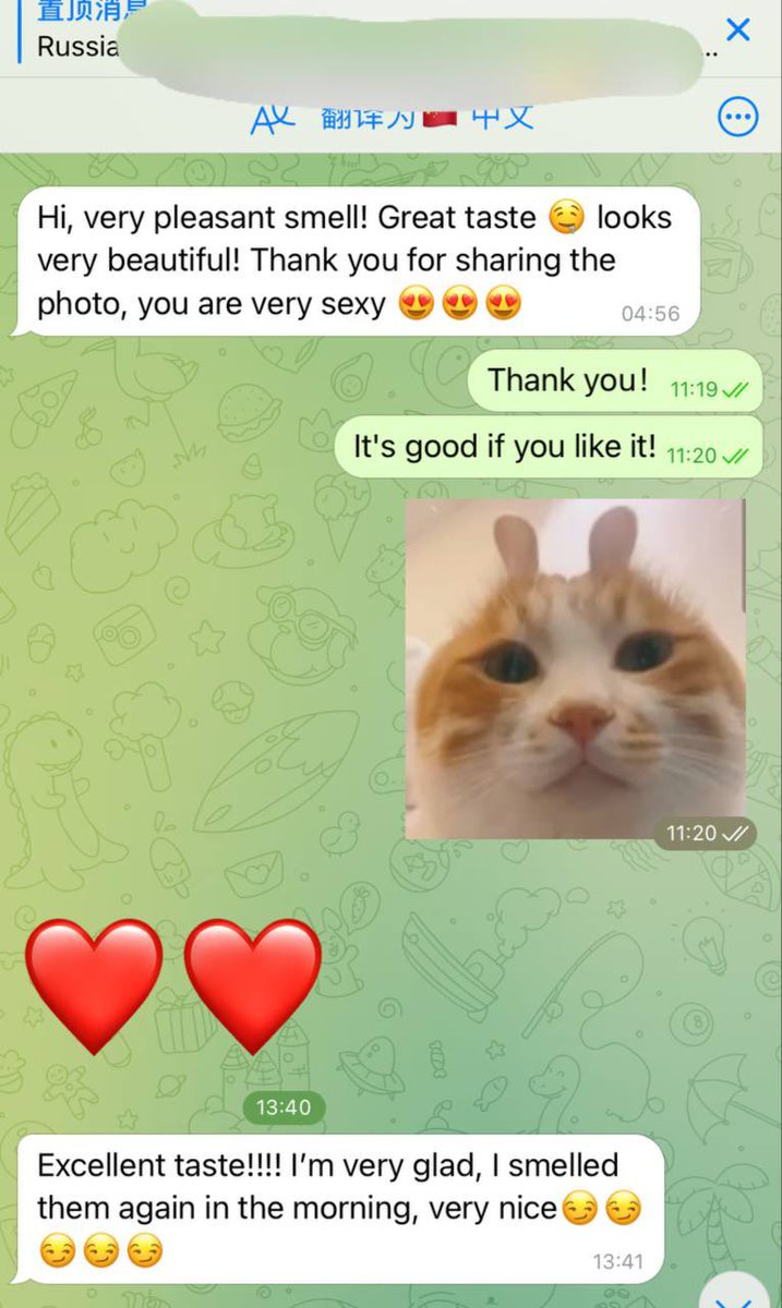 媒体预览