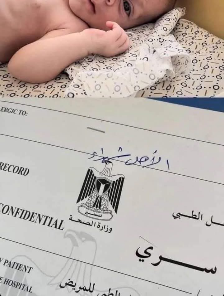 الأهل شهداء و بقيت لوحدها هنا 💔

Gaza 2025