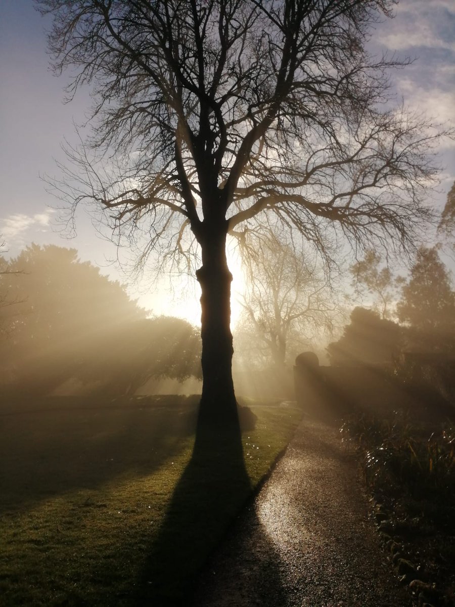 CoteheleNT's tweet image. Not to brag but... this is our view 😍

📸 Kayleigh L