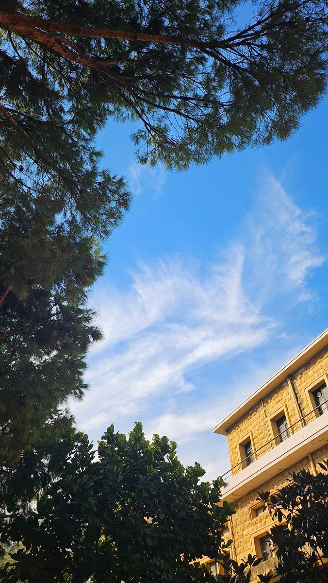 Je cherche le soleil