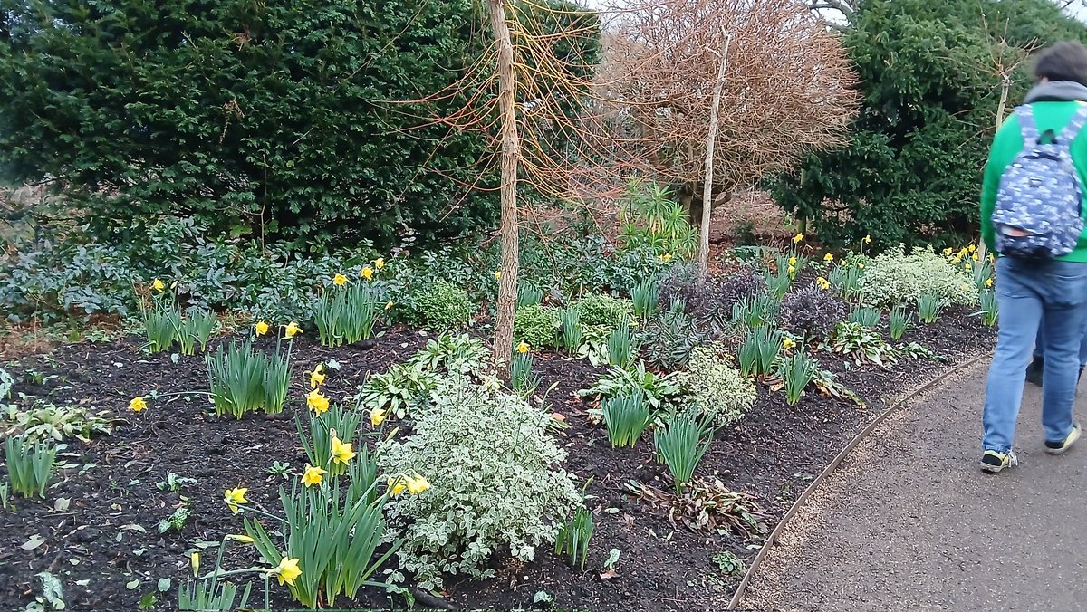 Jacqui Riley🎩🐟🇪🇺🇺🇦😷💙🌈 tweet media