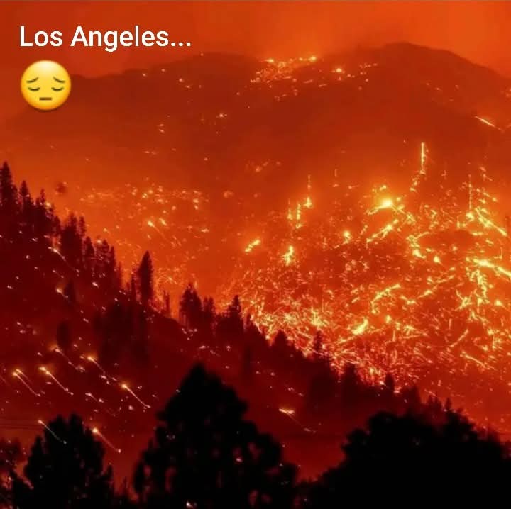 Énormes pensées pour tous les animaux qui sont en train de brûler vifs 🙏