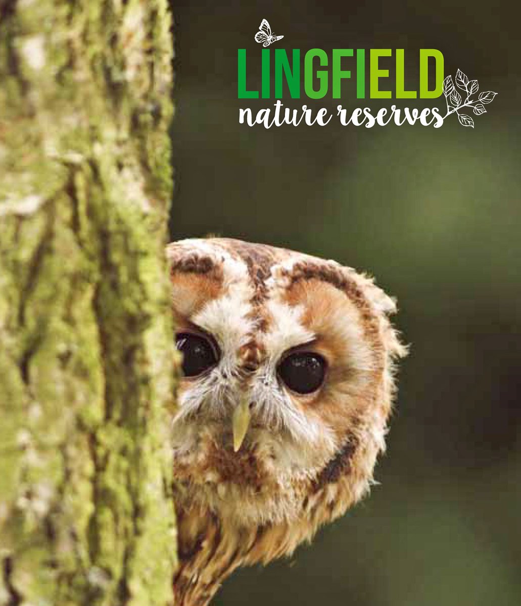 FREE Zoom talk
Butterfly Conservation Surrey &amp; SW London Branch
Tuesday, Jan 14, 7pm
Lingfield Nature Reserves
John Madden
butterfly-conservation.org/in-your-area/s…