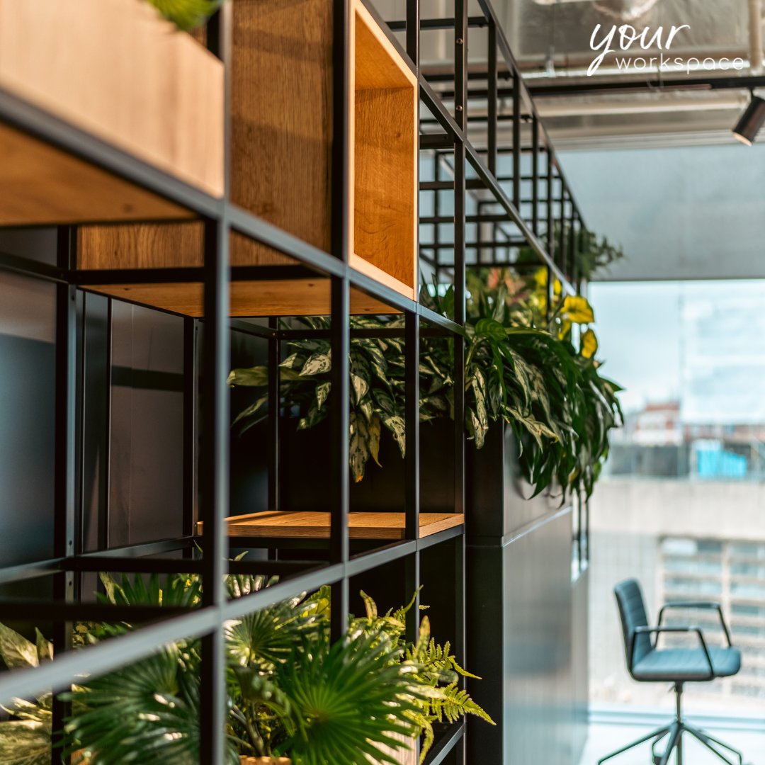 🌟 Flexible 🌱 Sustainable 🔧 Reconfigurable

Plexus modular storage units are more than just shelves - they’re a solution for dynamic, adaptable workplaces. Designed to fit your needs today and tomorrow.

Learn more 👉 zurl.co/MhjCE

#ModularShelving #OfficeStorage