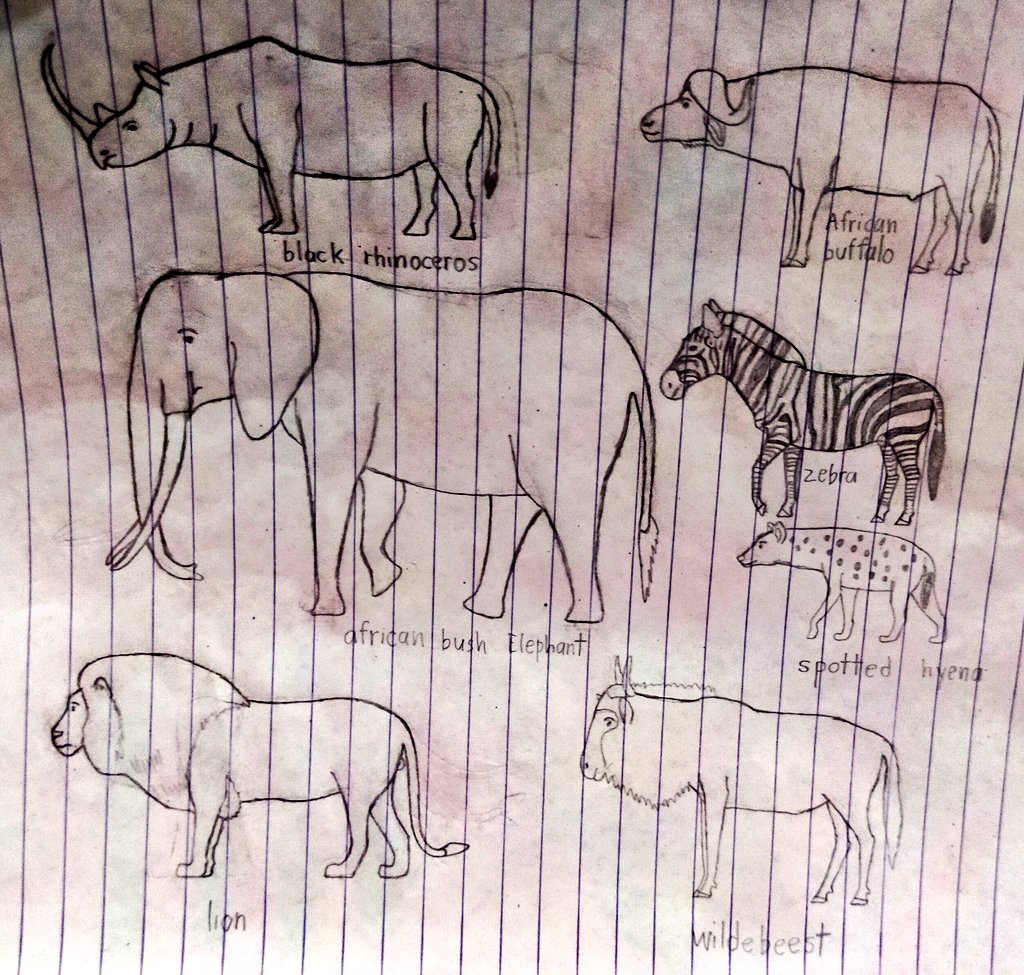 torm28's tweet photo. African Mammals Zebra Wildebeest Lion spotted hyena African elephant African Buffalo and Black rhinoceros.
#Africananimals #Mammals #Lion #africanelephant #blackrhinoceros #zebra #Africancapebuffalo #Drawanimals #art #Drawmammals https://t.co/1AXXbJR34X