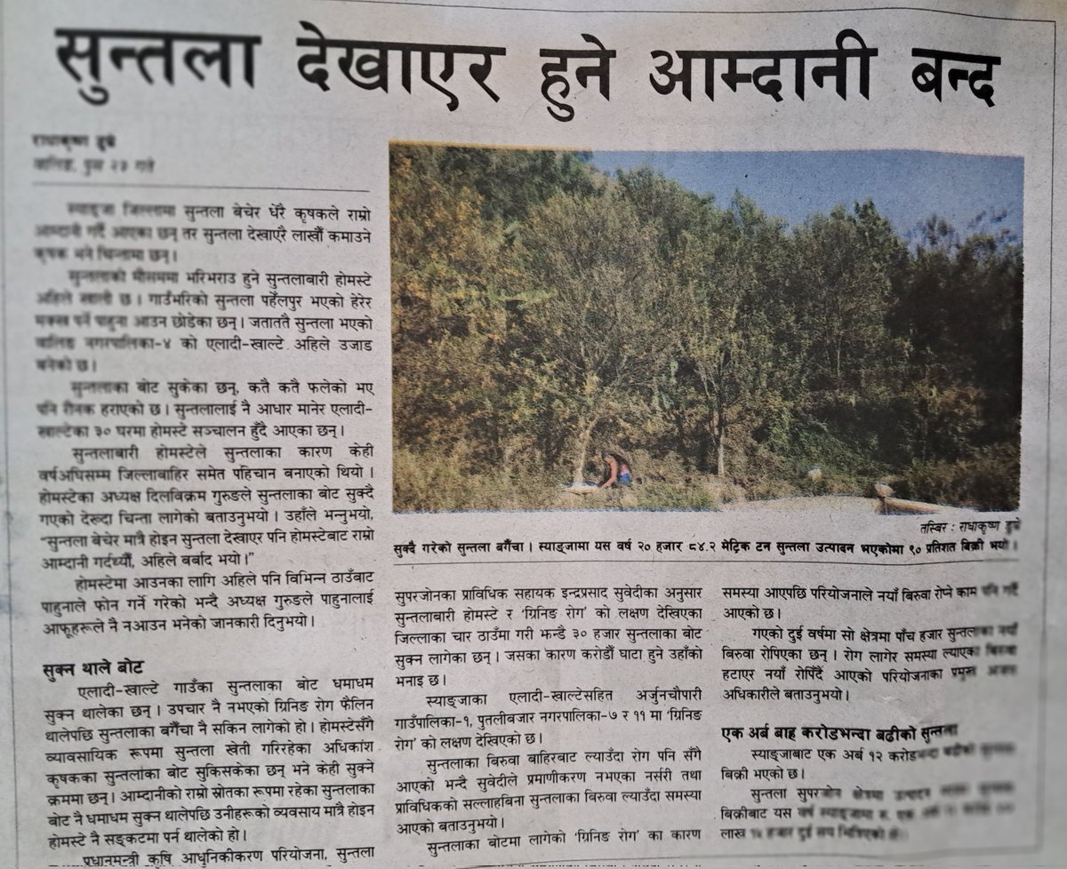 एलादी स्याङ्जाको होम स्टे सुन्तला बगैंचाको कारण प्रसिद्ध थियो तर ४ वर्ष अघि देखि रोग देखिएको र नियन्त्रणमा प्रयास कमै भएको कारण खतम भयो। अझै अरू स्थानमा पनि रोग बढ्दैछ कृषि प्रसारका संयन्त्रहरूले रोकथाममा ध्यान दिनु अत्यन्त जरुरी छ। <a href="/Hello_MOALD/">कृषि तथा पशुपन्छी विकास मन्त्रालय</a>