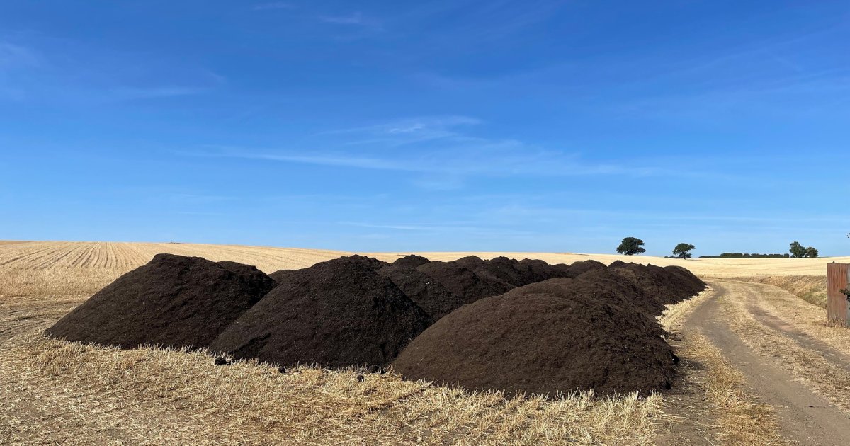 Farmers, it’s time to prepare for Spring! Order your compost in bulk loose loads now to get your land ready for the season ahead 🌾

Shop now: ow.ly/7qI450UB1W7 

#Farmers #Compost #SpringPrep #SustainableAgriculture