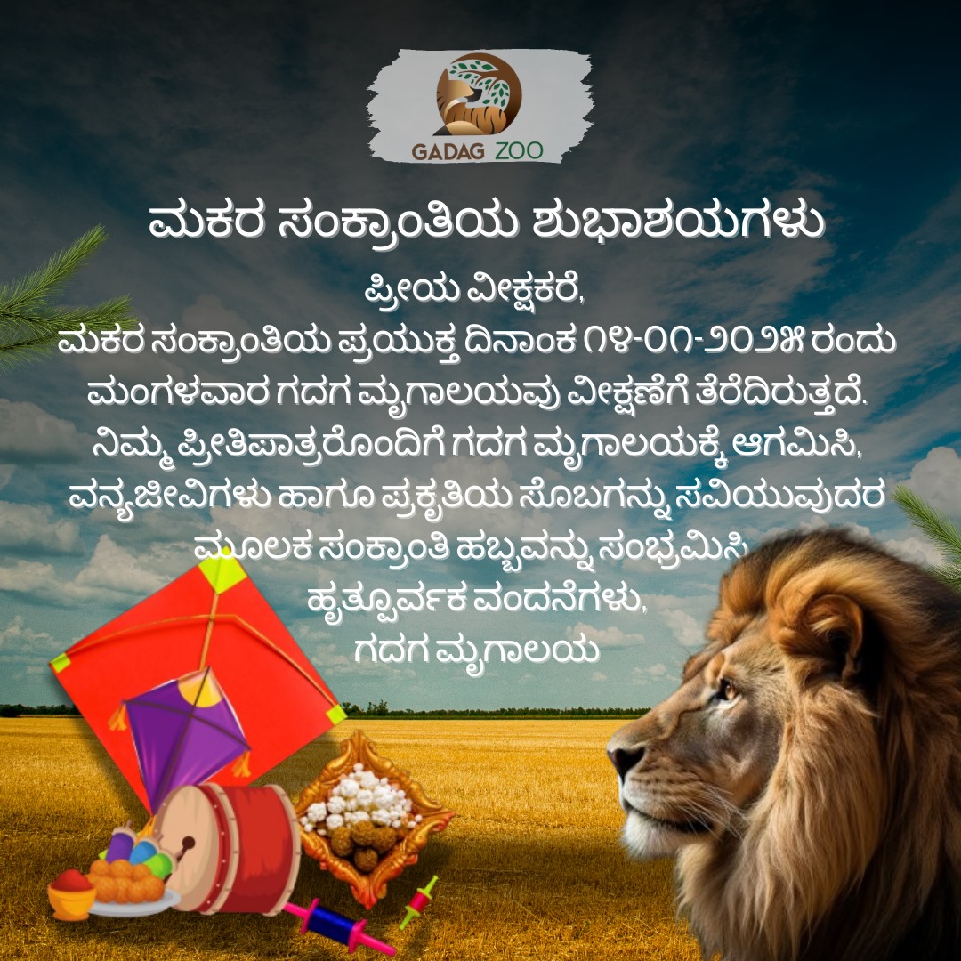 Gadag Zoo tweet media