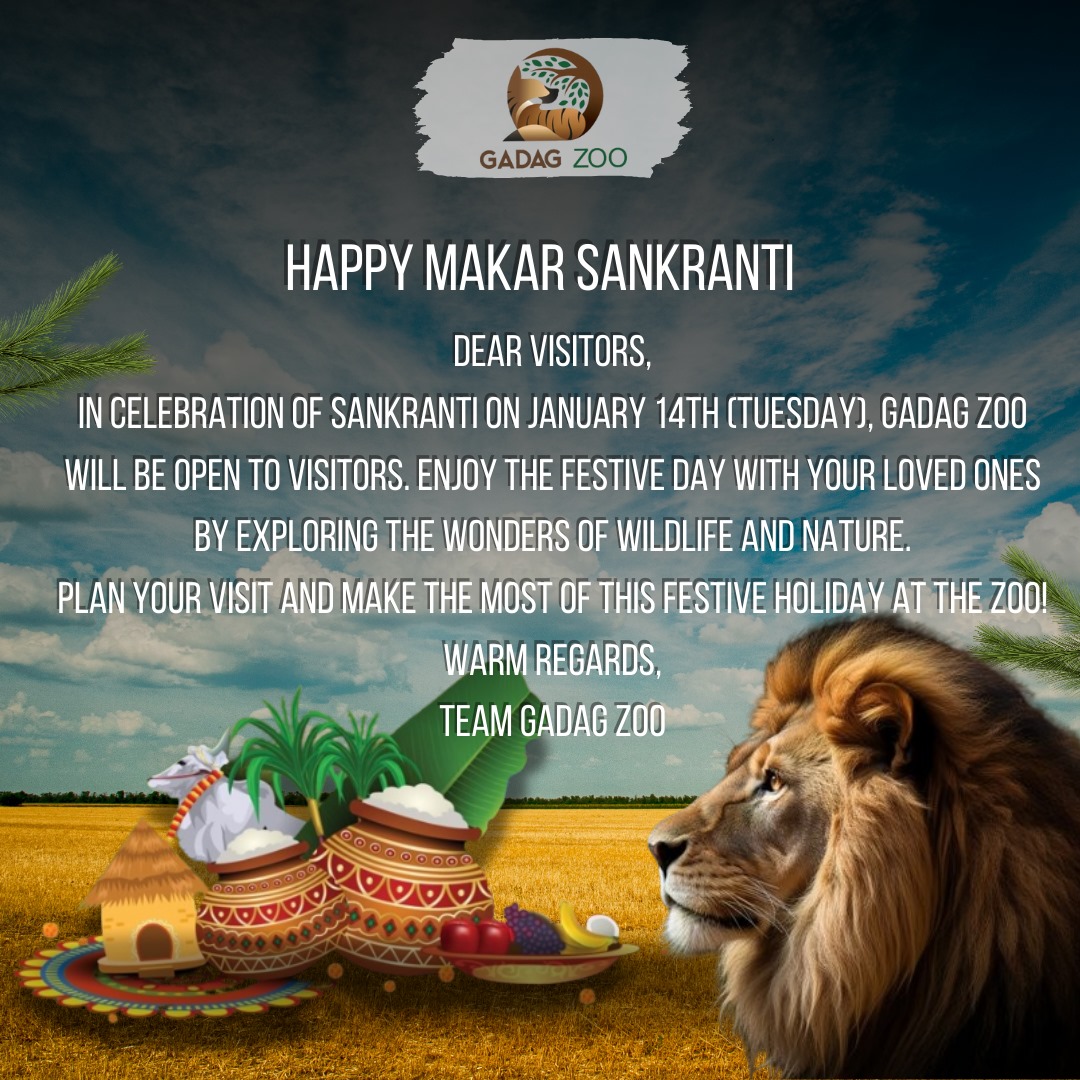 📢 Special Announcement!  

Gadag Zoo will be open for visitors this Tuesday, 14th January 2025! 🐾🎉  
Don’t miss the chance to explore the wonders of wildlife and make Sankranti Festival memorable with a trip to the zoo! 🌿🐅  
#GadagZoo #WildlifeConservation #ZooVisit
