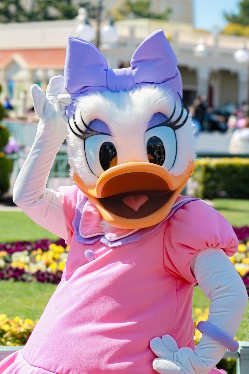 🎀💜Happy Birthday to Daisy Duck💜🎀

 #ハッピーバースデーデイジー