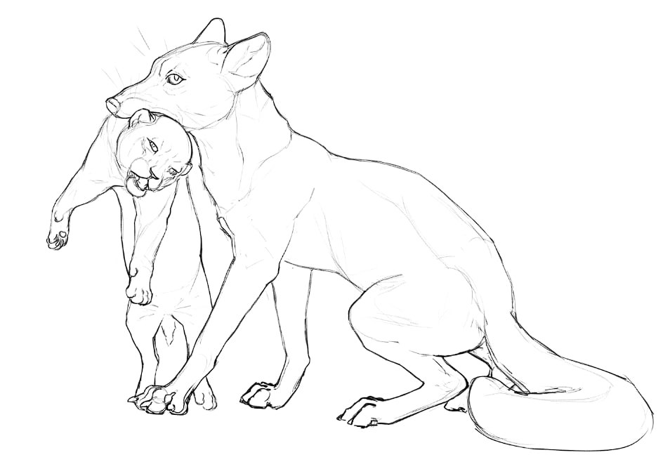 chekalka's tweet photo. Arctic fox and homotherium cub. Maybe, lower part was eaten by scavengers? Or just some even less lucky kitten

I was hoping to finish this during homotherium craze, but, like wounded muskox, gave up the fight.

#paleoart
#fox #DigitalArtist #Animal #IceAge https://t.co/C0AETDyi2s