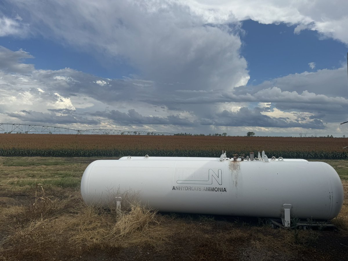 JOCK HOLMES tweet media