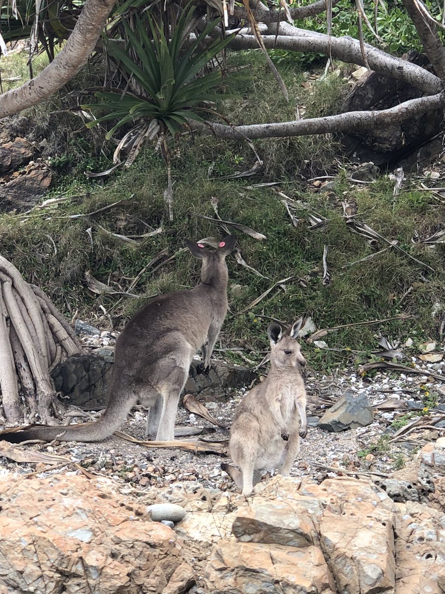 Simon Burrows tweet media