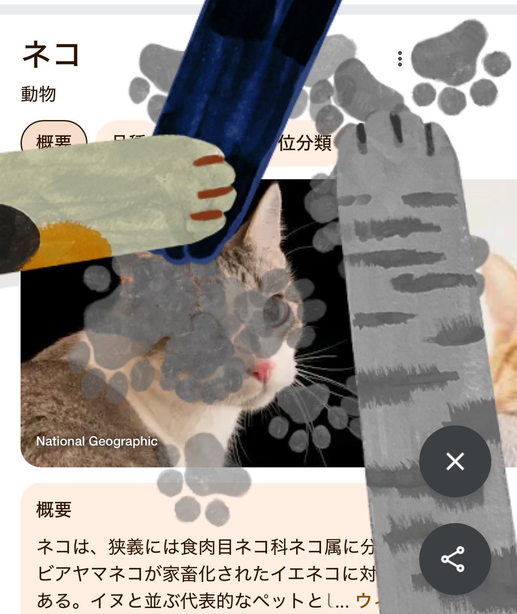 Googleで猫って検索して画面右上の肉球押すと

画面が肉球まみれに😅

犬でもできた🐶