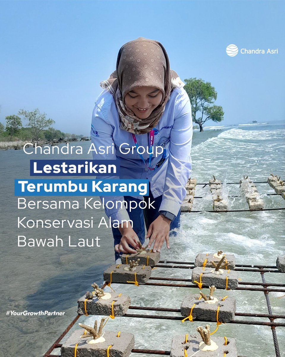 ChandraasriID's tweet image. Sejak 2020, Chandra Asri Group telah bekerja sama dengan Kelompok Konservasi Alam Bawah Laut (KABL) Desa Sukarame melakukan rehabilitasi terumbu karang di perairan utara Pulau Panjang, Serang, Banten.