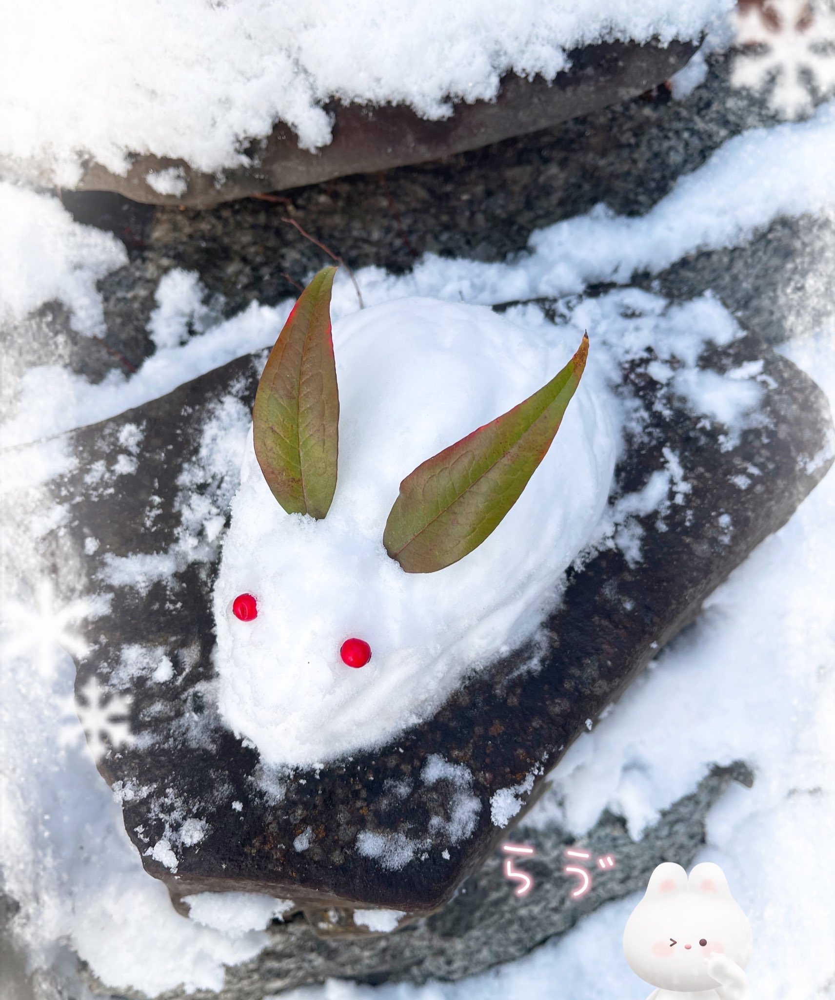 雪うさぎ♡冬うさぎちゃん 雪うさぎ - Search / X