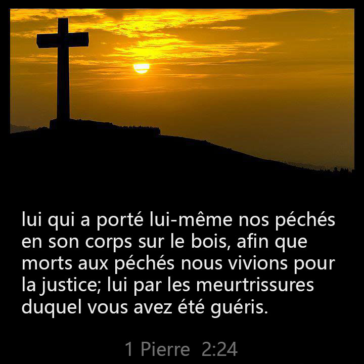 Oct7th2015Fran's tweet photo. lui qui a porté lui-même nos péchés en son corps sur le bois, afin que morts aux péchés nous vivions pour la justice; lui par les meurtrissures duquel vous avez été guéris. https://t.co/1uM4FjhzLf