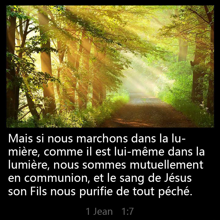Oct7th2015Fran's tweet photo. Mais si nous marchons dans la lumière, comme il est lui-même dans la lumière, nous sommes mutuellement en communion, et le sang de Jésus son Fils nous purifie de tout péché. https://t.co/JBRlSJ4S9k