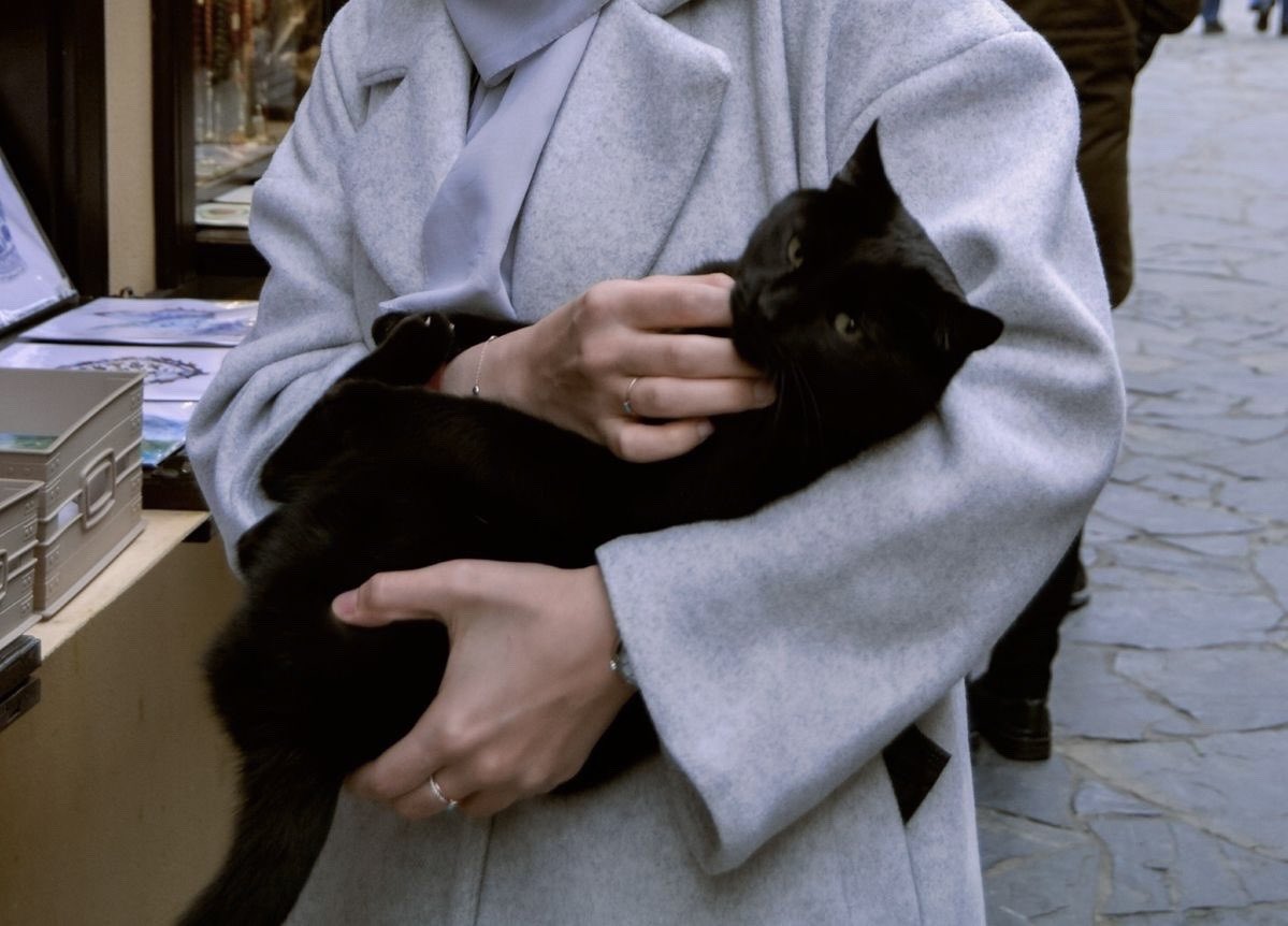 𝒥 (@suaverotic) on Twitter photo 